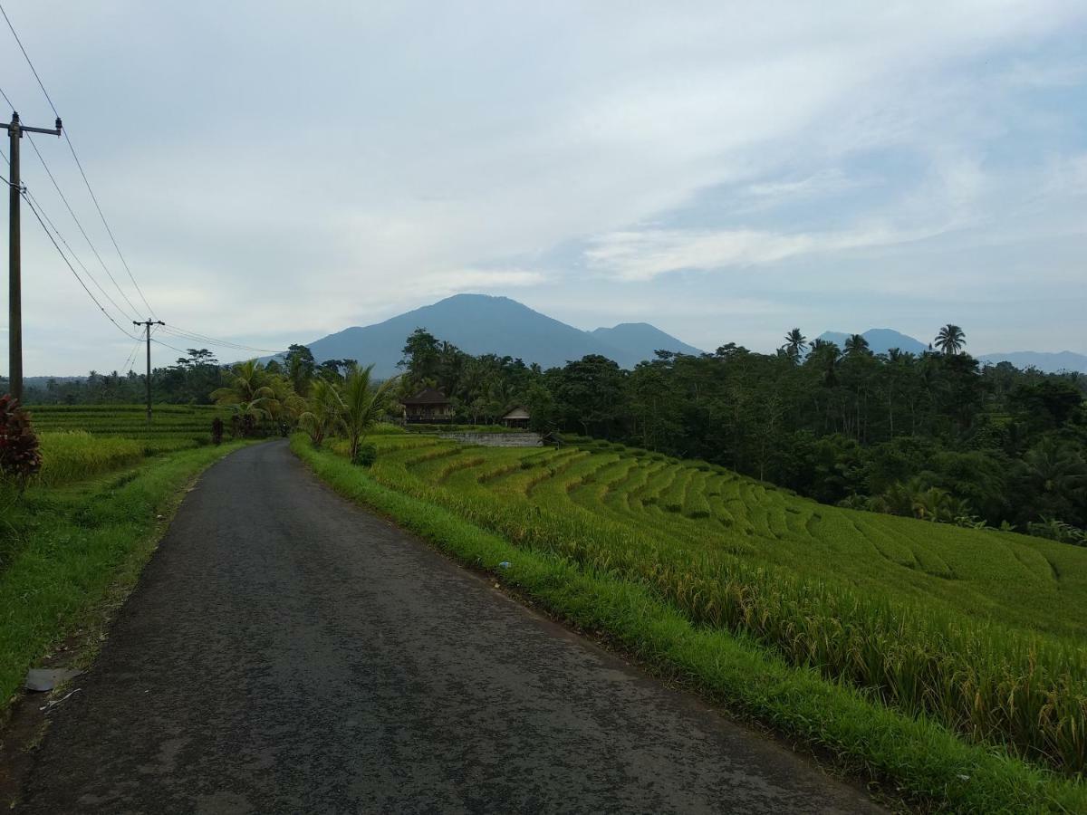 Buana Asti Homestay Табанан Екстер'єр фото
